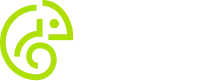 Pingle Studio game development outsourcing logo